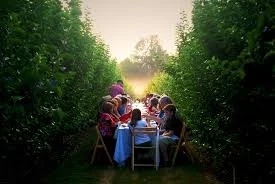 farm-to-table-dinner.jpg